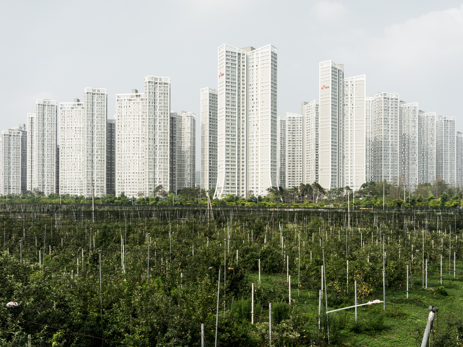 New Town